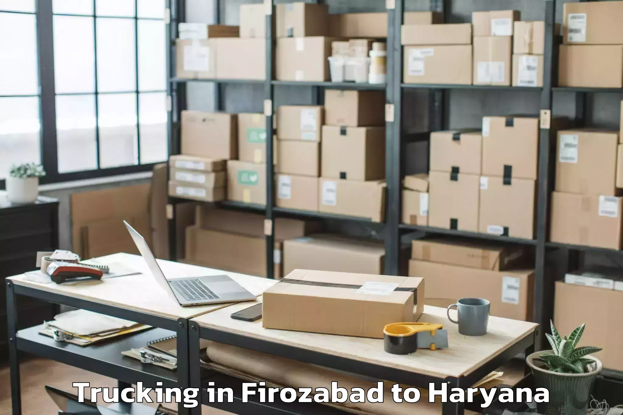 Book Firozabad to Safidon Trucking Online